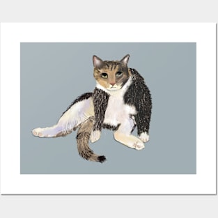 Grumpy Tabby Cat Posters and Art